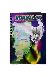 ГС Блокнот цветной Норильск Сова и карта (А6) 50л