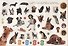 Домашние любимцы - 2
