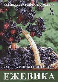 Ежевика. Уход, размножение, сорта