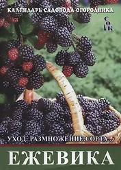 Ежевика. Уход, размножение, сорта