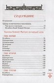 Богородичник. Каноны Божией Матери на каждый день. (Изд. 5-е. 2-цв. печать. Закл.) - 1