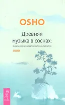 Древняя музыка в соснах: в дзен разум внезапно останаливается