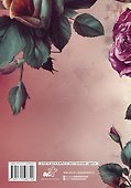 Ежеденевник недат. А5 80л "Lana Del Ray. Дневник фаната" - 1