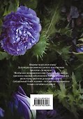 Хана, Аннабель, Рэйвен, Алекс : сборник рассказов - 1