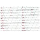 Каллиграфическая пропись. Пишем слоги и слова - 2