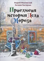 Правдивая история Деда Мороза: роман-сказка