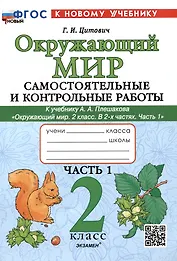 Окружающий мир. Самостоятельные и контрольные работы. 2 класс. Часть 1. К учебнику А.А. Плешакова "Окружающий мир. 2 класс. В 2-х частях. Часть 1"