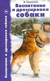 Воспитание и дрессировка собаки