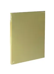 Бумага для пастели А4 "Mi-Teintes" 160г/м2 №107 анис, Canson