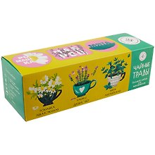 Набор д/выращивания растений Plant Republic, Чайные травы