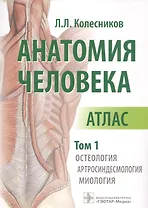 Анатомия человека Атлас т. 1/3 тт. Остеология Артросиндесмология Миология (м) Колесников