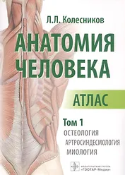 Анатомия человека Атлас т. 1/3 тт. Остеология Артросиндесмология Миология (м) Колесников