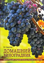 Домашний виноградник