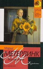 Жизнь пчел : философское эссе