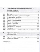 Системная семейная терапия. Практики психотерапии - 2