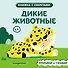 Дикие животные - 0