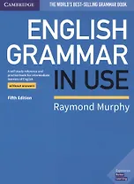 English Grammar In Use Book without answers