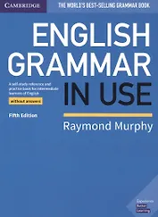 English Grammar In Use Book without answers