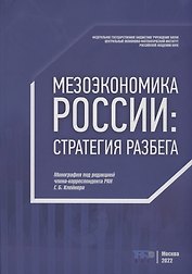 Мезоэкономика России: стратегия разбега : монография