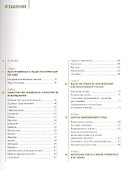Луковичные цветы: выбираем, выращиваем, наслаждаемся. - 1