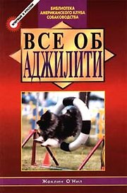 Все об Аджилити (БАКС)