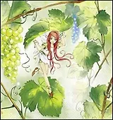 Наб. салф. для декупажа Виноградная лоза (631124/005000) (2шт) (упаковка)