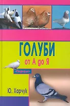 Голуби от А до Я