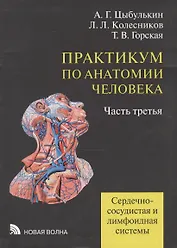 Практикум по анатомии человека т.3 Сердечно-сосудистая и лимфоидная системы (Цыбулькин)