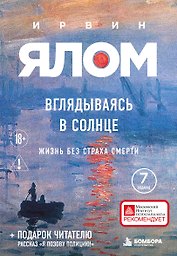 Вглядываясь в солнце. Жизнь без страха смерти