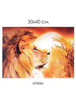 Набор для творчества. Алмазные узоры "Лев", 30 х 40 см