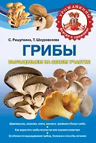 Грибы выращиваем на своем участке