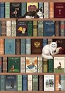 Блокнот. Книжный шкаф. (А5, твердая обложка, 64 л.)