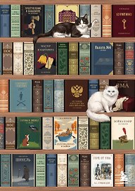 Блокнот. Книжный шкаф. (А5, твердая обложка, 64 л.) (у.н.)