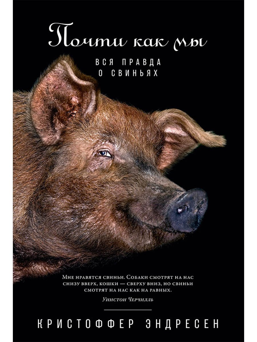 

Почти как мы: Вся правда о свиньях