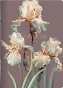 Тетрадь А4 48л кл. "Blossom", ирисы, темный, карт.обл., скрепка, ламинация, микротекстурирование, тиснение золотой фольгой