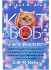Тайна уличного кота