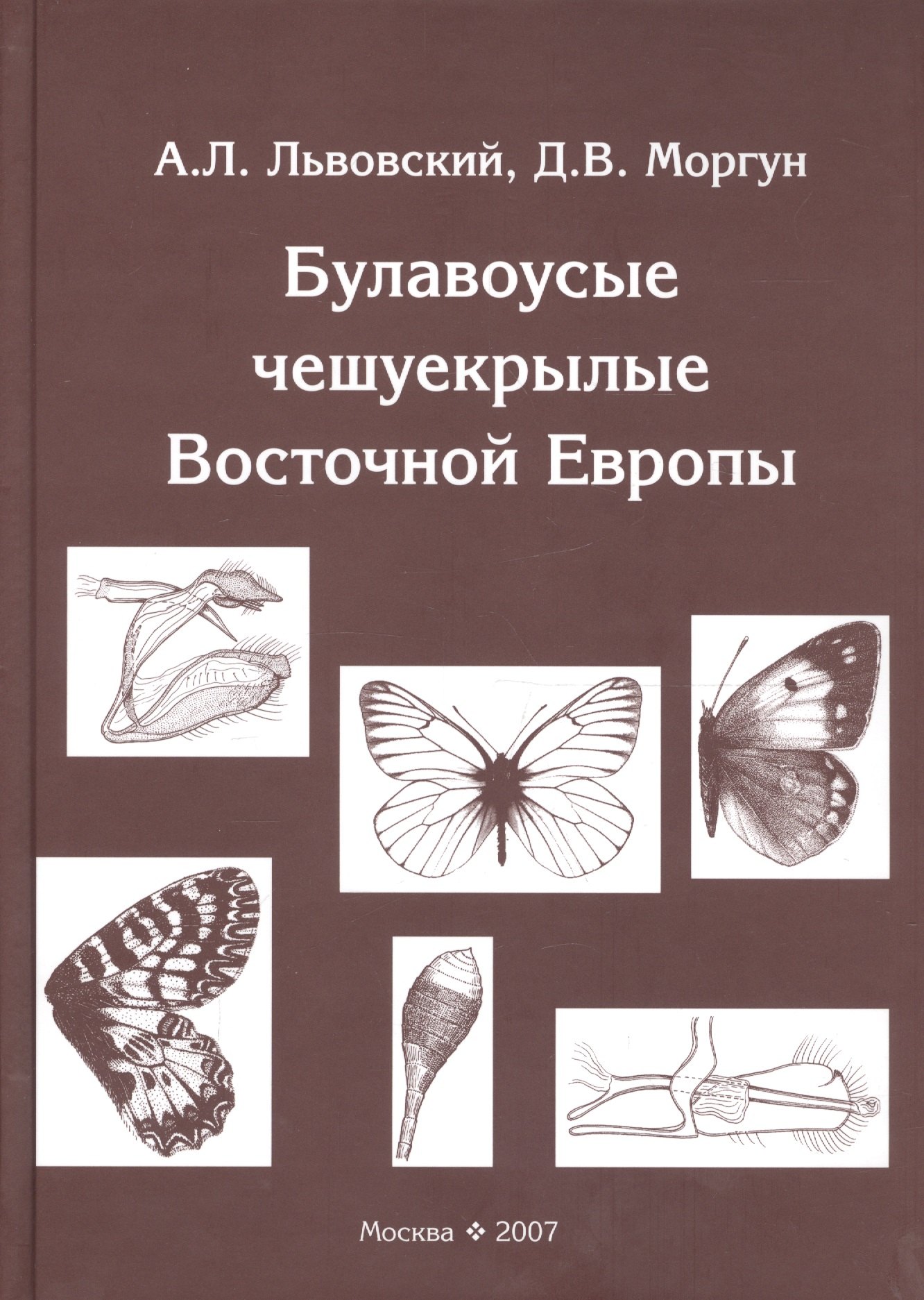 Зоология Булавоусые чешуекрылые Восточной Европы