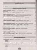 Русский язык. 6 класс. Самостоятельные и контрольные работы. Учебное пособие для общеобразовательных организаций - 1