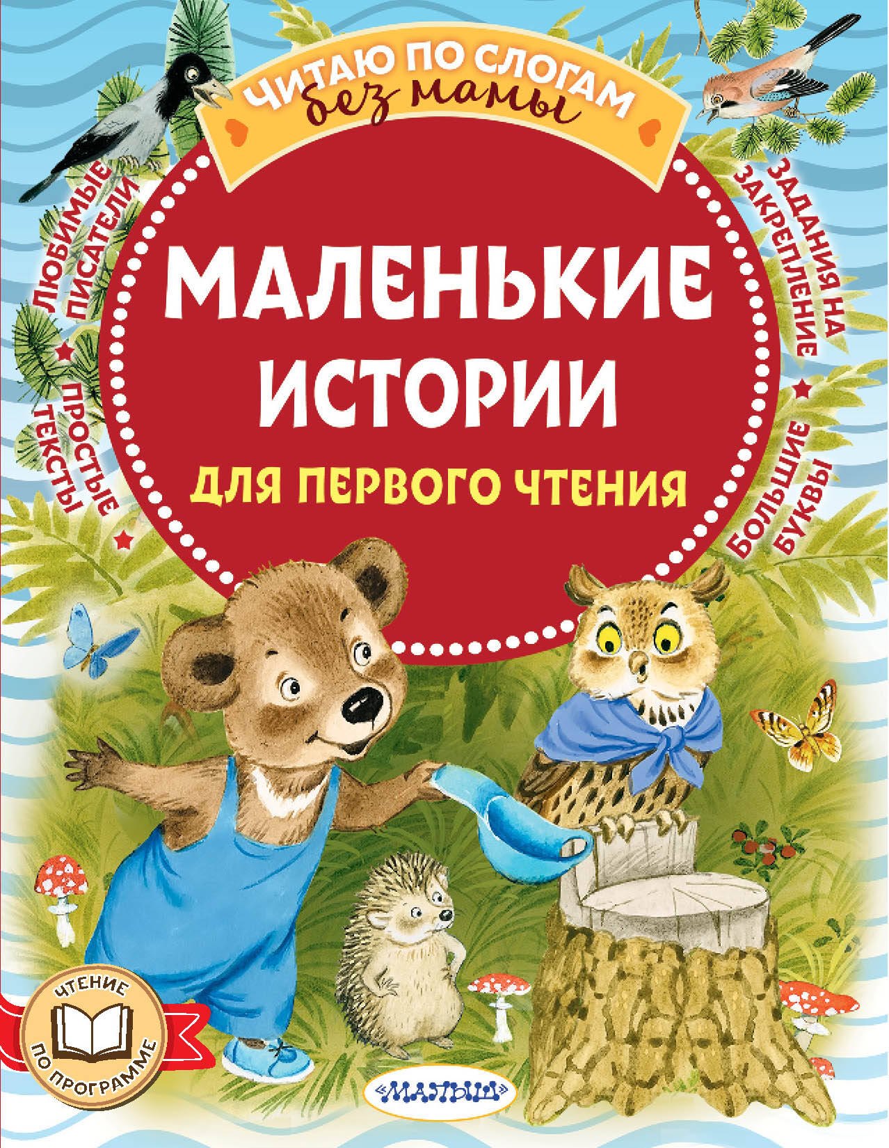 

Маленькие истории для первого чтения