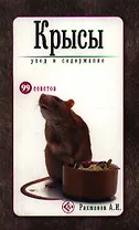 Крысы. Уход и содержание.