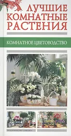 Лучшие комнатные растения