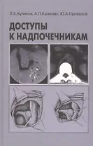 Доступы к надпочечникам. Руководство для врачей