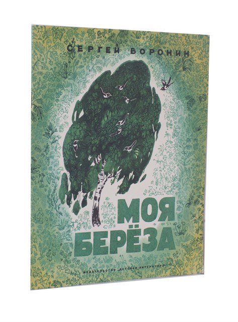 

Моя берёза