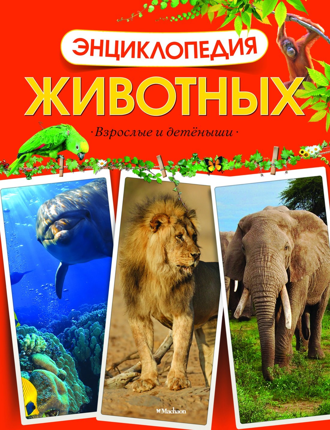 Энциклопедия животных. Взрослые и детёныши