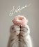 Тетрадь общая «Cat & Flowers», 96 листов в клетку, А5, в ассортименте - Listoff - 2