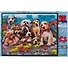 Пазл 48 Super 3D Kids Друзья (31х23) (3+) (10516) (коробка) - 1