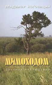 Мимоходом… Дневник наблюдений