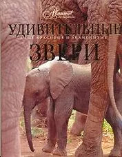 Звери мира. Удивительные звери