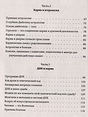 Психология и мистика йоги. Психосоматика и самскары - 2