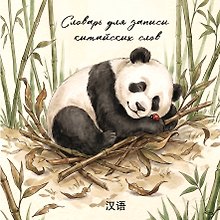 Словарь для записи китайских слов (15х15 см) (Панда и божья коровка)
